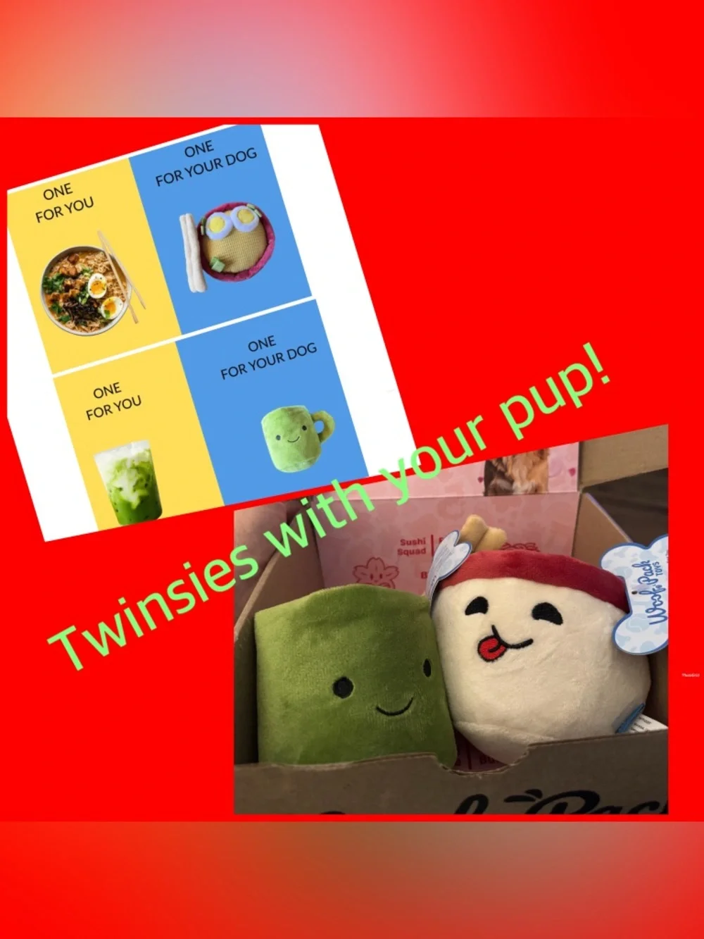 Woof Pack Trip to Japan box L dog toys NEW Miso ramen & matcha sip mug NEW W/tag